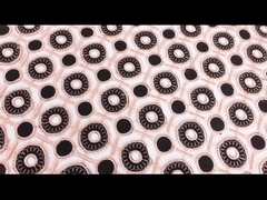 물질 주식 수용성 끈 정비 기퓌르 레이스 자수 레이스 산뜻한 구성